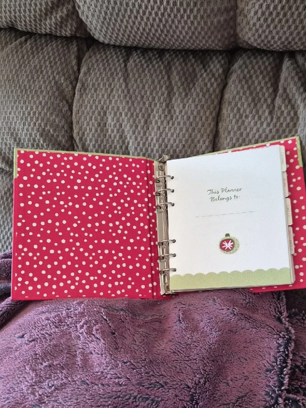 NWOT My Holiday Plans- Hallmark Planner